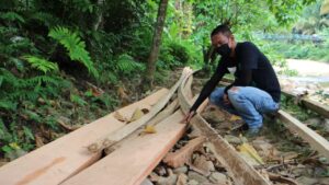 Tumpukan kayu yang diduga dari penebangan liar di Mandeh