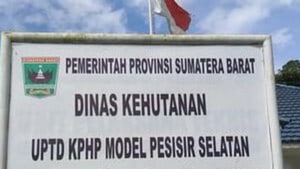 UPTD Kesatuan Pengelolaan Hutan Produksi (KPHP) Pessel